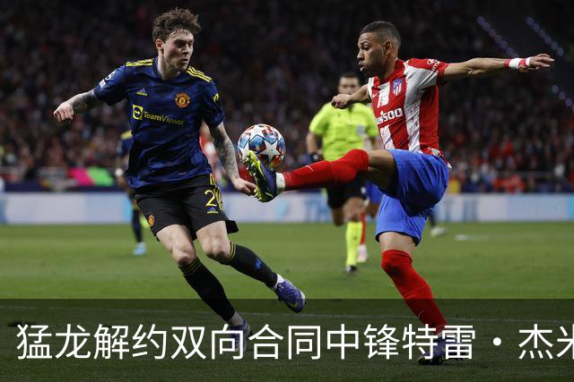 猛龙解约双向合同中锋特雷·杰米森三世